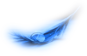 Une plume sur ton âme blessée